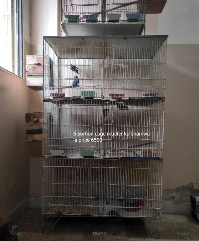 Urjent Sell 6 Potion Cage Box Wala for Sale in Karachi