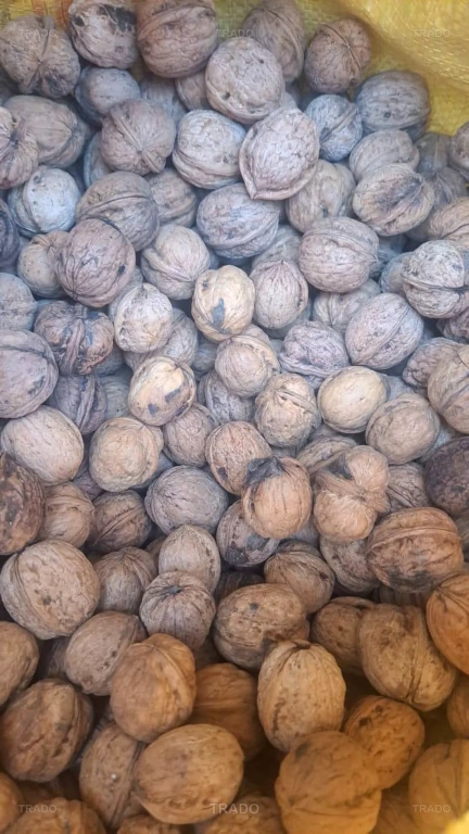 Akhrot for Sale in Peshawar