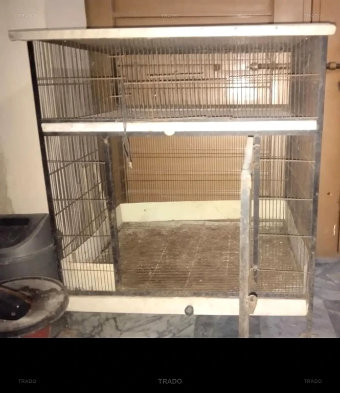 Cage for Sale in Lahore
